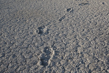 human footprints on cracked ground