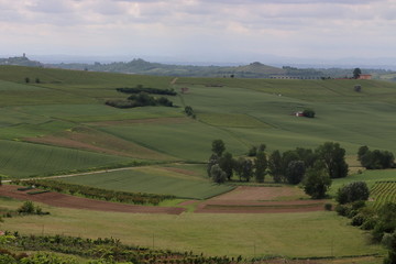 Obraz premium Views of the Lower Monferrato hills in Piedmont.