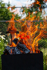 Safe fire in nature.