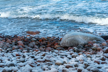 Sea shore in ice and snow in winter. Icy rocks on the beach.