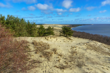 High sand dunes. Picturesque sea shores. Curonian Spit on the Baltic Sea.