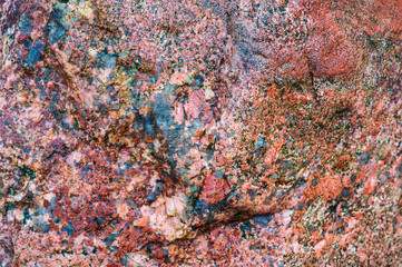 Sea stone texture. Panel texture. Background fill. Natural stone background.