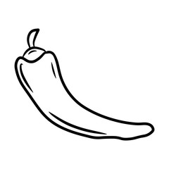 Pepper. Hand drawn vector illustration in doodle style, isolated on a white background.