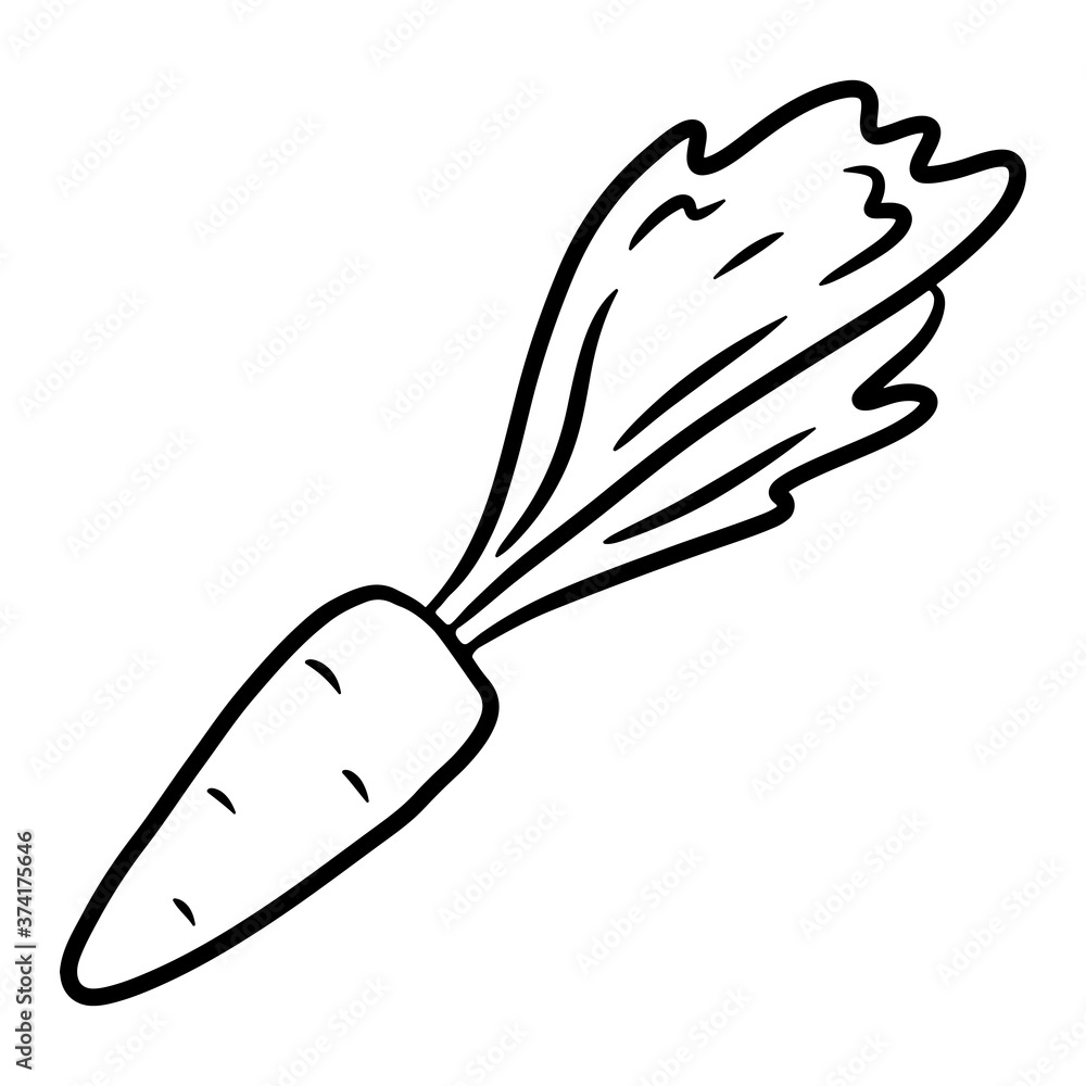 Wall mural carrot. hand drawn vector illustration in doodle style, isolated on a white background.