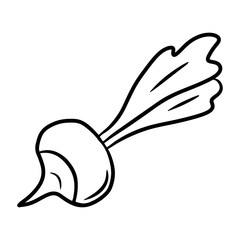 Radish. Hand drawn vector illustration in doodle style, isolated on a white background.