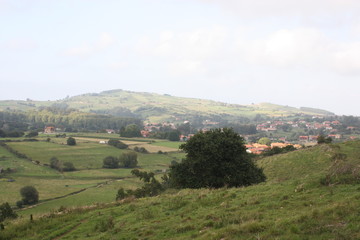 Fototapeta na wymiar view of the village
