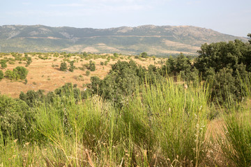 Open Countryside in Horcajuelo de la Sierra; Madrid