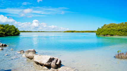 Fototapeta na wymiar Paisaje, Naturaleza, Playa, Mérida, Yucatán, Cienega, Cenote, Tropical, 