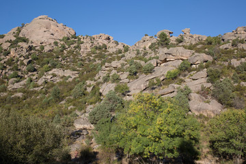Landscape in Pedriza; Madrid