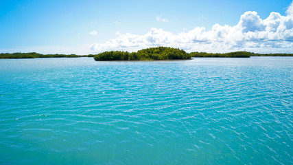 Fototapeta na wymiar Paisaje, Naturaleza, Playa, Mérida, Yucatán, Cienega, Cenote, Paraíso, Islote