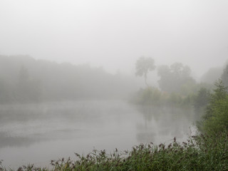 Fog in a rainy forest, jungle in the early morning