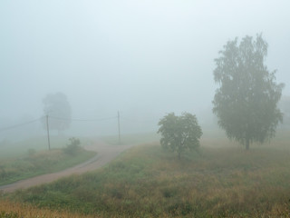 A foggy road with Telegraph poles.