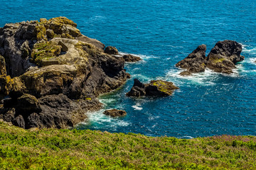 The rocky coastline of Skomer Island (breeding ground for Atlantic Puffins) in early summer
