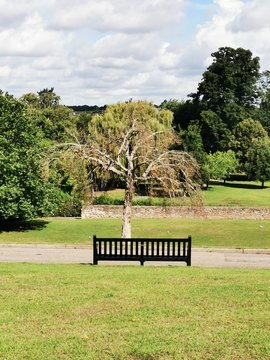 bench in the park