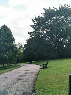 path in the park