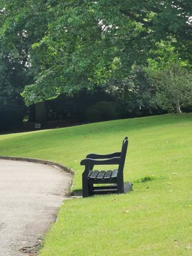 bench in the park