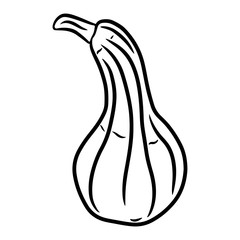 Pumpkin. Hand drawn vector illustration in doodle style, isolated on a white background.