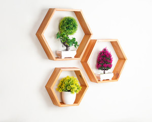 Empty hexagon wooden shelf against a white wall background along with plastic plant decorations, add to the beauty of a room.