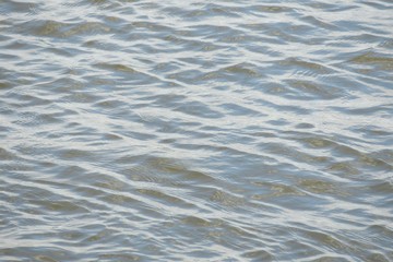 Obraz premium Natural light blue water surface on Florida river 