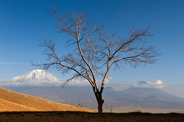Two peaks of the Mount Ararat, Turkey