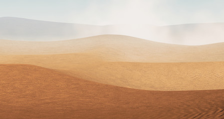 Fototapeta na wymiar Sahara desert with sandstorm
