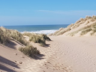 Fototapeta na wymiar sand dunes in the morning