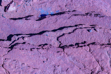 Ground Texture, Talampaya Park, La Rioja, Argentina