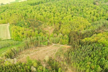 Fototapeta na wymiar Luftaufnahme Wald mit Brachfeld