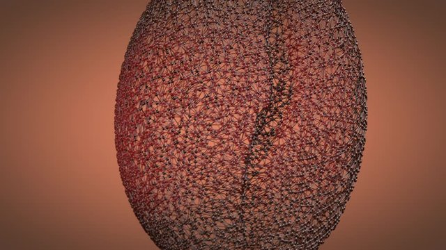 Atomic lattice of coffee beans rotating on a brown background. 3d animation