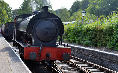 Naklejka premium Train from Haverthwaite to lakeside on windermere, in the lake district, england, uk