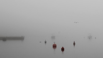 Foggy morning at the sea