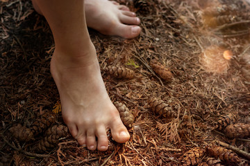 Child's feet in summer on a coniferous forest mat without shoes close-up