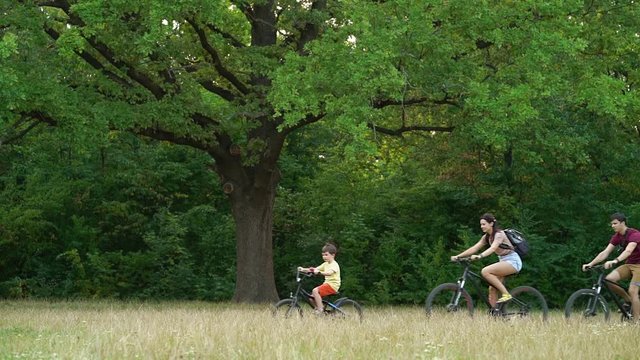 Sporty family biking in green park, little boy riding first and parents following him, big oak tree on background. Side view of active people spending time together on summer day. Concept of sport
