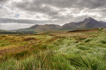 Landscape in Ireland, Connemara region, county Galway, Ireland, Green field and mountains in the background, Cloudy sky