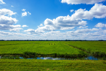 Panoramic view of a meadow and ditches near Eemnes, Netherlands
