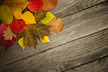 Obraz premium Multicolored different autumn leaves on a wooden background. Background, texture, concept.
