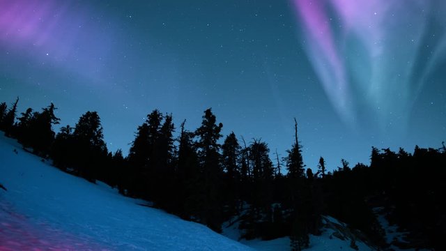 Aurora Above Snowy Slope in Mountain Forest Loop