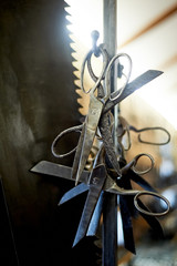 Old forged metal scissors.A few pieces on the hooks. It's a forge.