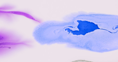 Macro Paint with Vibrant Color Palette. Mixed Paint with Bright Colourful Dye on White Background.