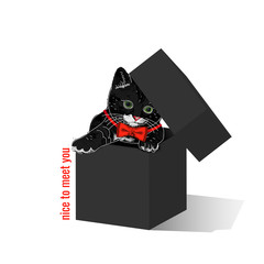 T shirt print with funny black cat with red bow tie in black gift box. 3d realistic shirt template. Poster with kitty and text nice to meet you. Vector illustration