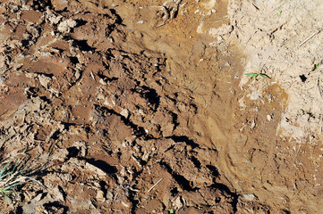 earthen bank dug for landfill