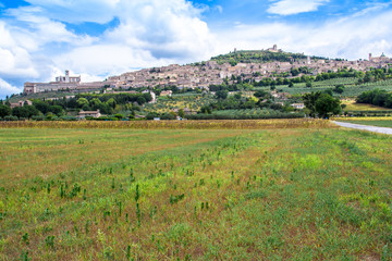 Fototapeta na wymiar Panorama of Assisi, in Italy.