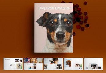 Dog Hotel Brochure Layout