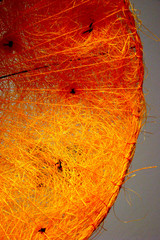 bright orange semi-circular grid close-up