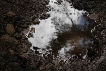 Espelho que reflete a luz da vida