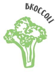 Broccoli hand painted with ink brush isolated on white background
