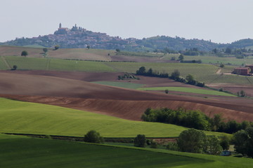 Fototapeta na wymiar Lower Monferrato (Piedmont, Italy)