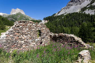Ruderi