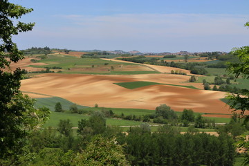 Lower Monferrato (Piedmont, Italy)