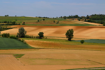 Lower Monferrato (Piedmont, Italy)